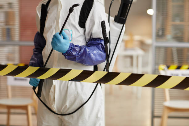 Professional Hoarding Cleanup technician working in Round Mountain, TX